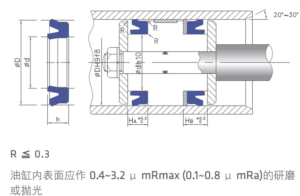 DZ活塞用密封圈D-1安裝圖